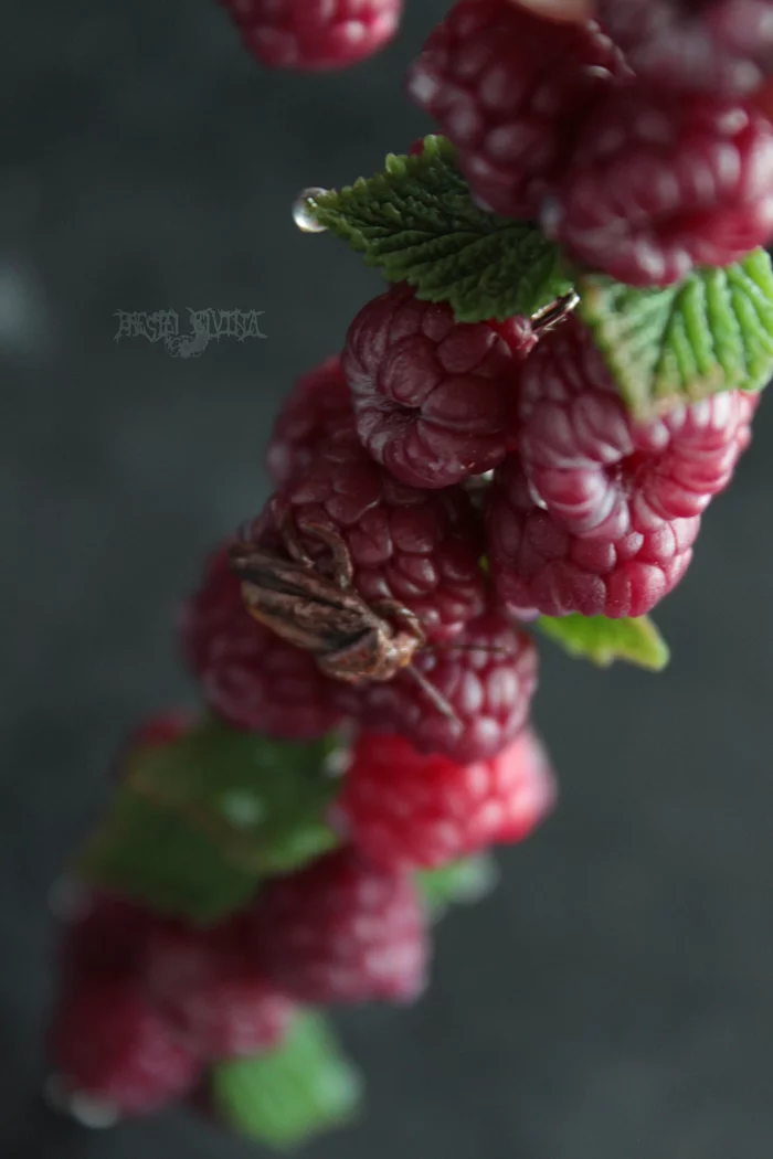 Raspberry bracelet with a zest (Polymer clay) - My, Longpost, Needlework without process, Bedbugs, Raspberries, Bijouterie, Polymer clay