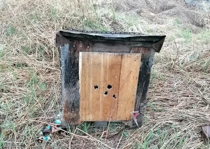 В Благовещенском районе неизвестные вывезли собак в будке и расстреляли - Новости, Благовещенск, Собака, Убийство животного