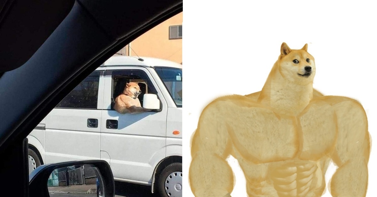 Женская интуиция цитаты. И все таки она существует. Есть в россии деревня простоквашино. Все таки он. Демотиваторы про начальство.