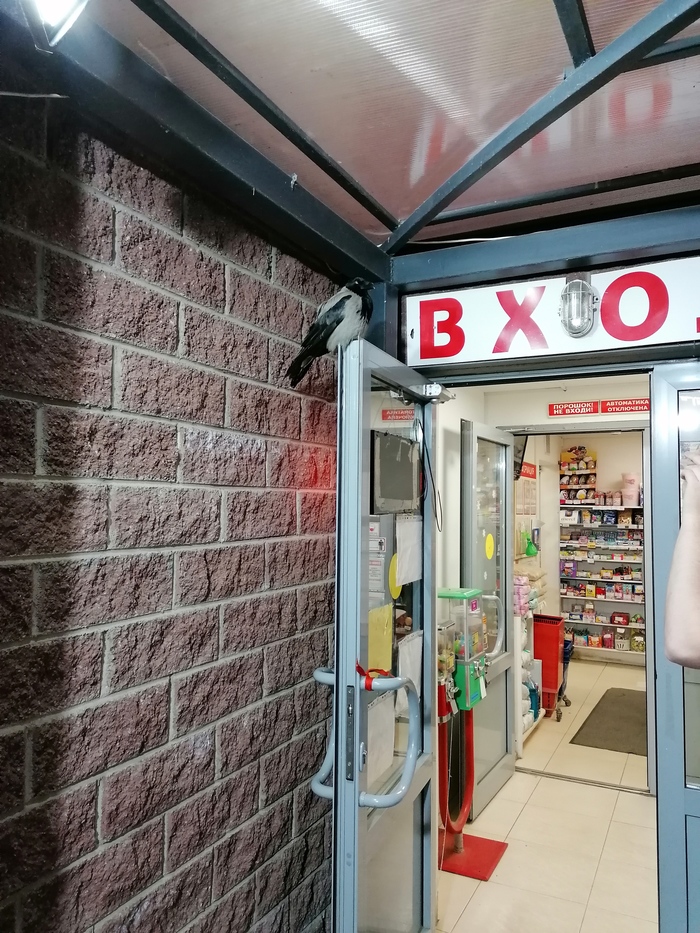 ������ ������...