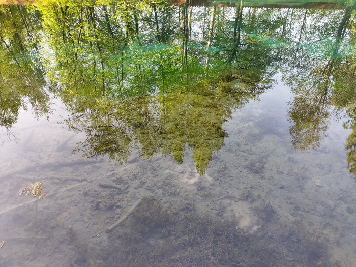 ������� ����� ������