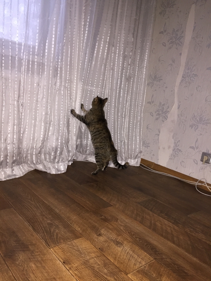 с праздником всех причастных знаки препинания. Смотреть фото с праздником всех причастных знаки препинания. Смотреть картинку с праздником всех причастных знаки препинания. Картинка про с праздником всех причастных знаки препинания. Фото с праздником всех причастных знаки препинания