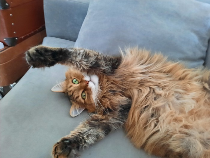 Он лежит так уже час