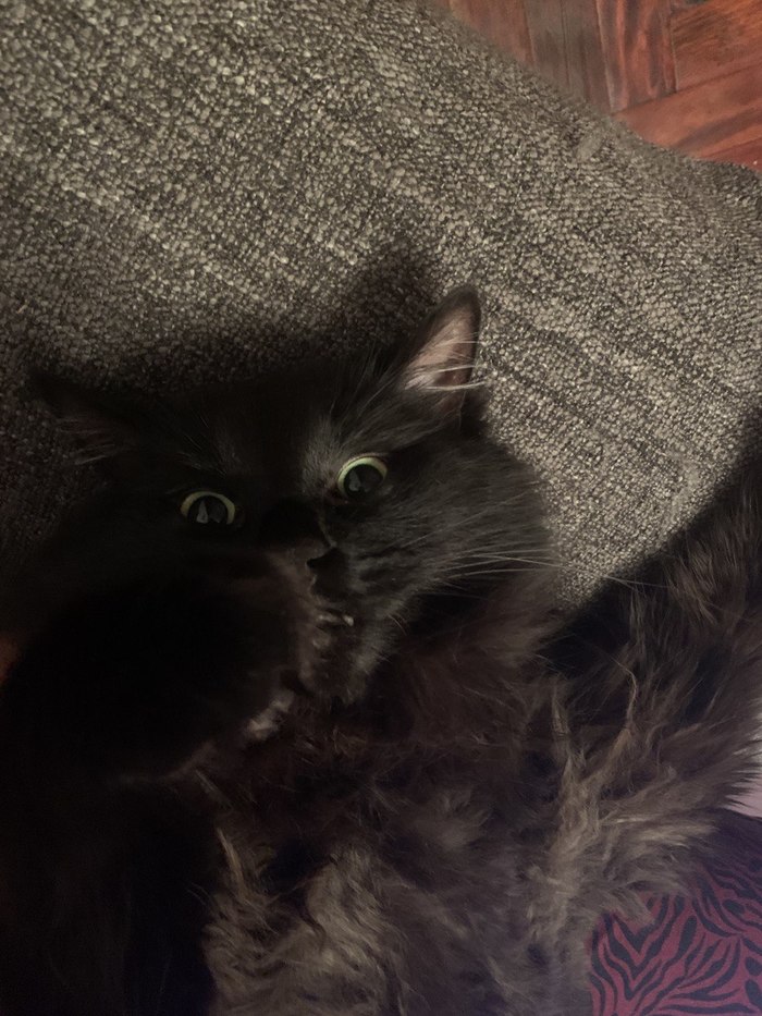 � �� �����, ������ � �����