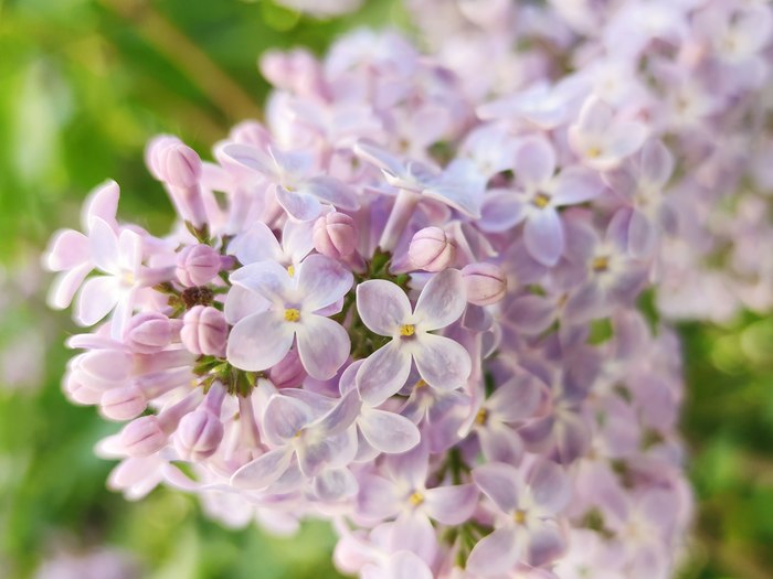 Лучшее время года | Пикабу