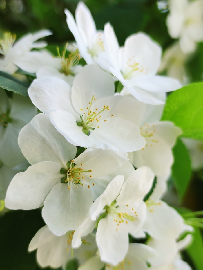 Лучшее время года | Пикабу