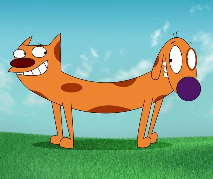 There's a big fight coming - Dog, cat, Kotopes, Catdog (cartoon)