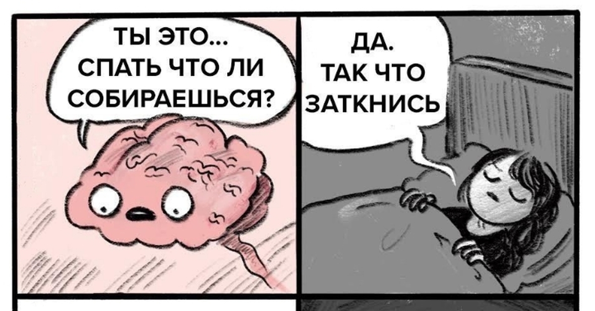 Кто тут не спит картинки смешные