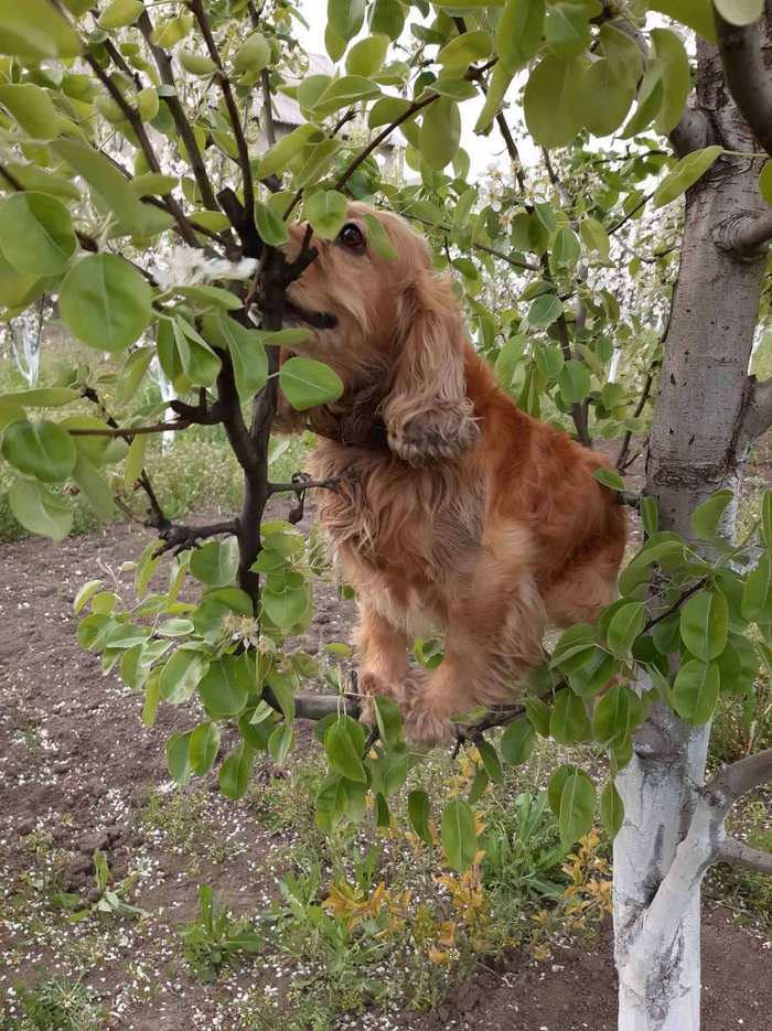 ����. �������