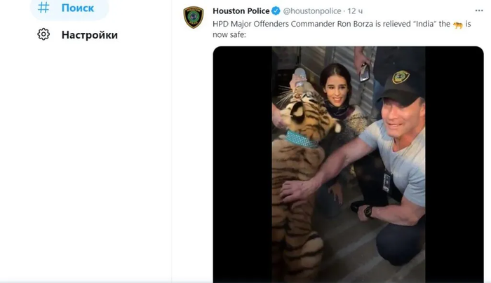 В США полиция нашла бенгальского тигра, который неделю гулял по Хьюстону