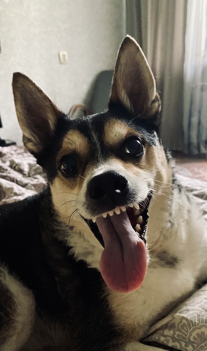 ������ ��� ��