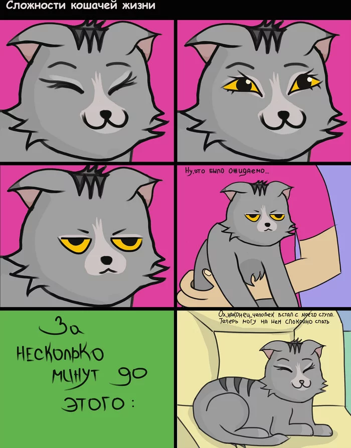 My first comic - My, cat, Digital drawing, Funny, Comics, 