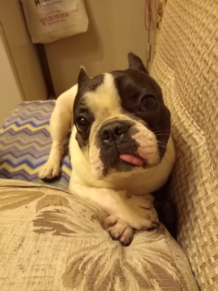 ������ ������ �����