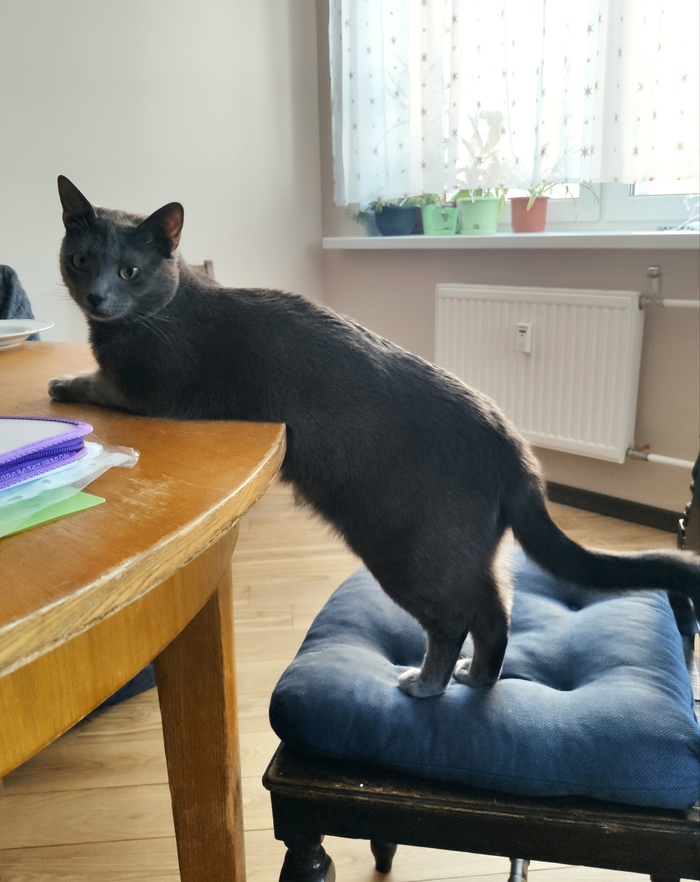 ����� ���������� ����� ������ �� �����