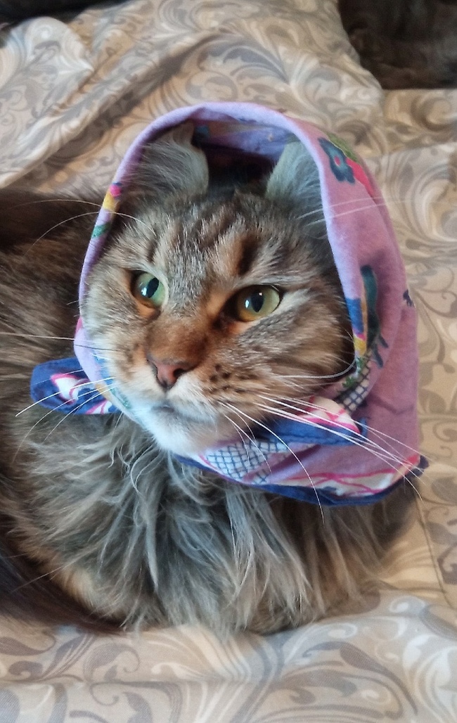 �������, � ���� ����