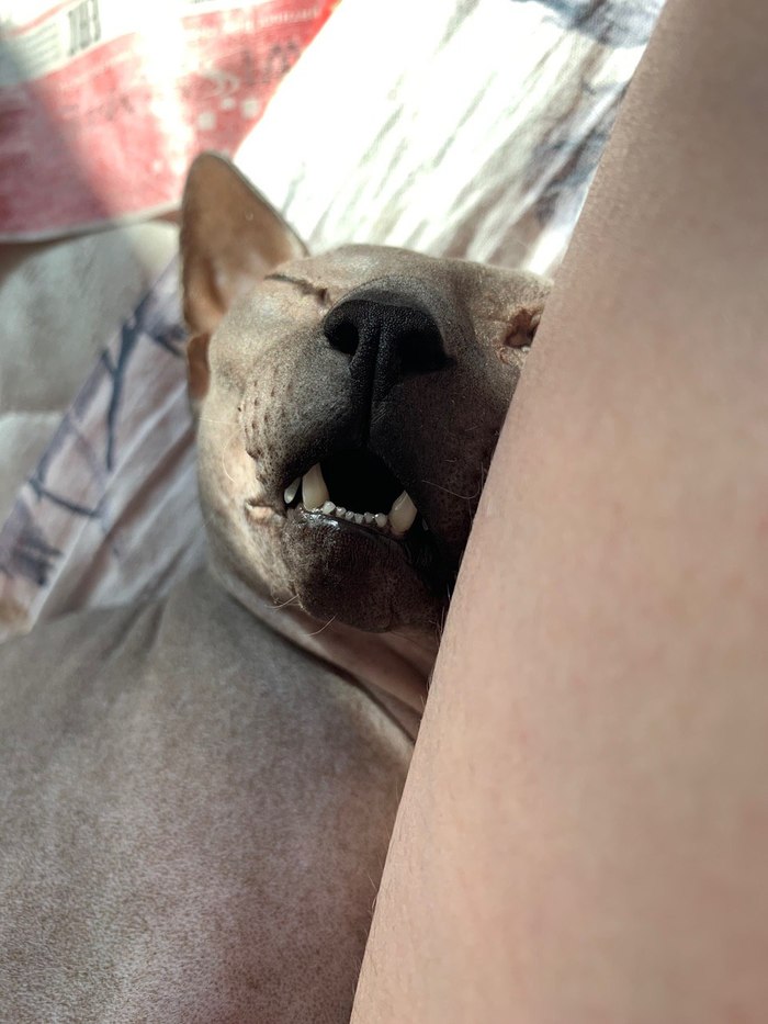 �� ����� ������ ����