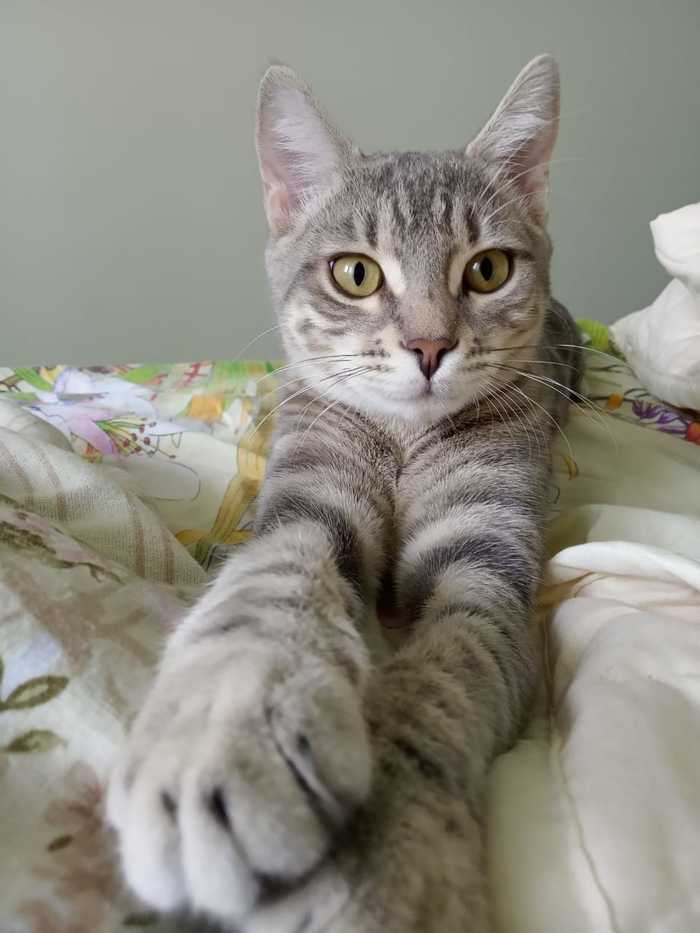 "Как дела? Говорят нам бросили вызов?"