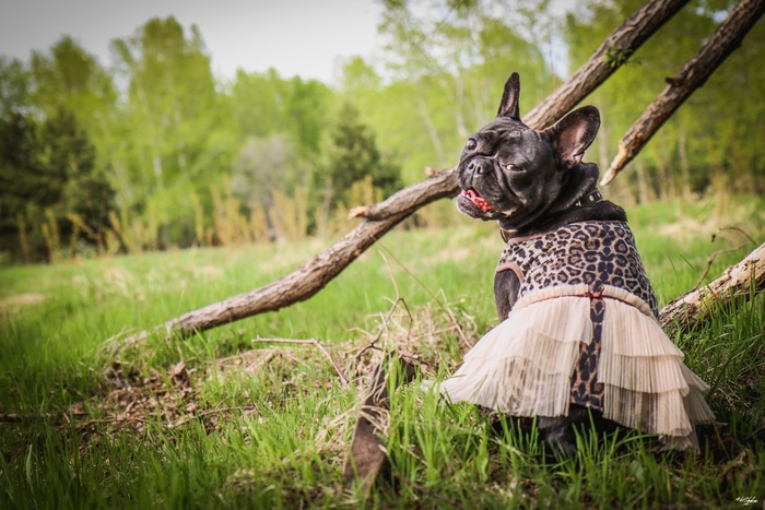 Француженка