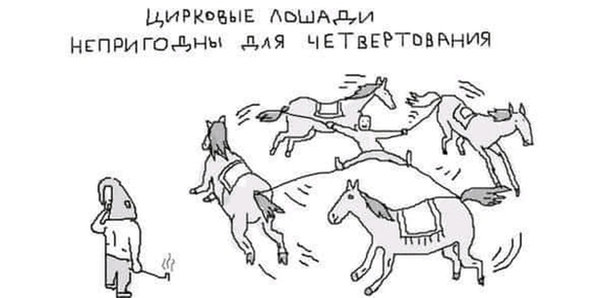 Цирковые лошади не пригодны ... | Пикабу