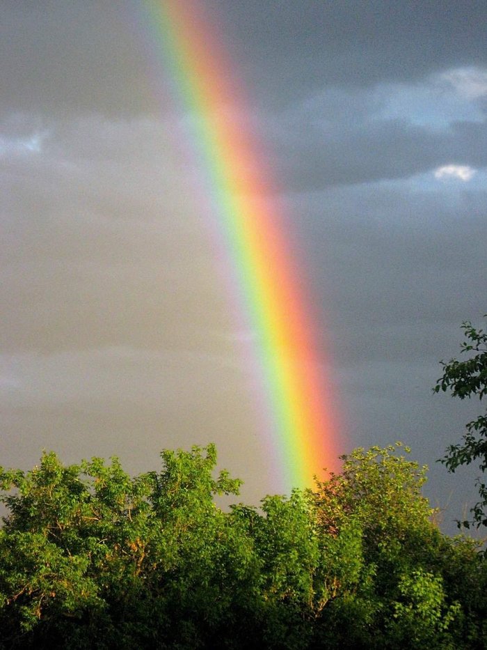 Радуга