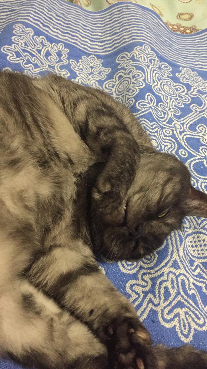 ����� � ������������, � ���� ���������