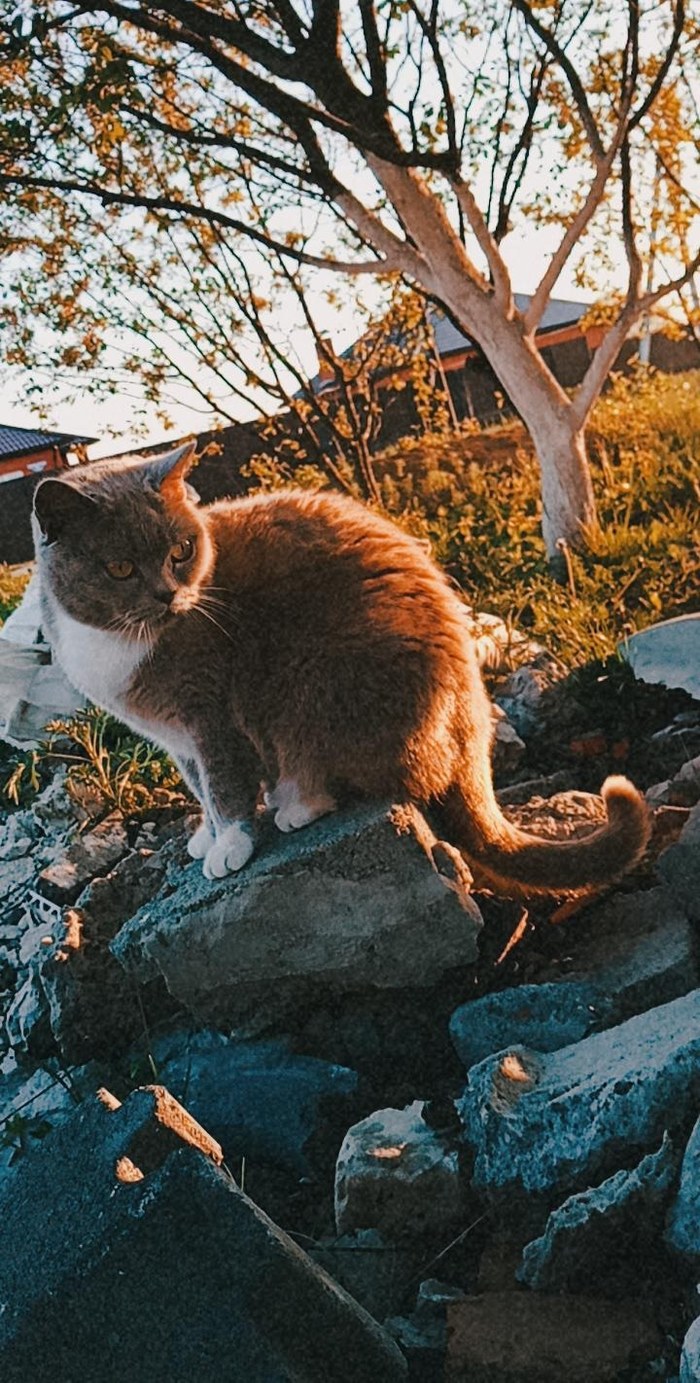 ����� ������ �����