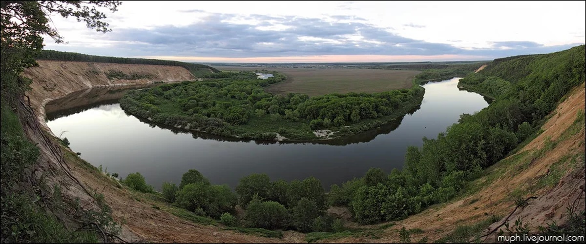 Beautiful don. Поворот Дона на 180 градусов Кривоборье. Кривой Бор Воронежская область. Урочище Кривоборье панорама. Кривоборье Воронежская область высота берега.