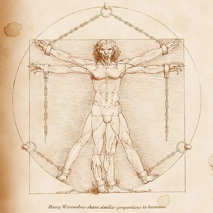 20 variants of Vitruvian Man - Art, Drawing, Leonardo da Vinci, Vitruvius, Vitruvian Man, Longpost
