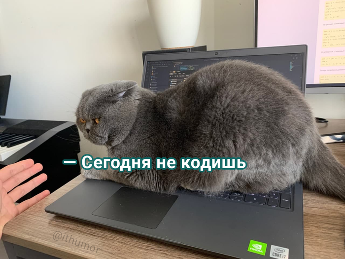 Bad Code IT , IT, , 