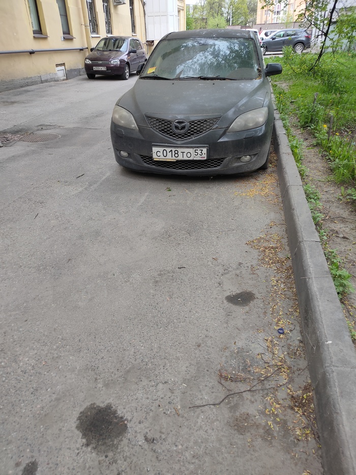 ����������� ����. �����