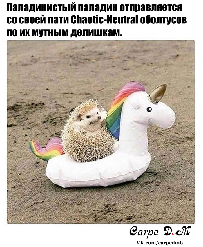 Мой путь в нашей кампании