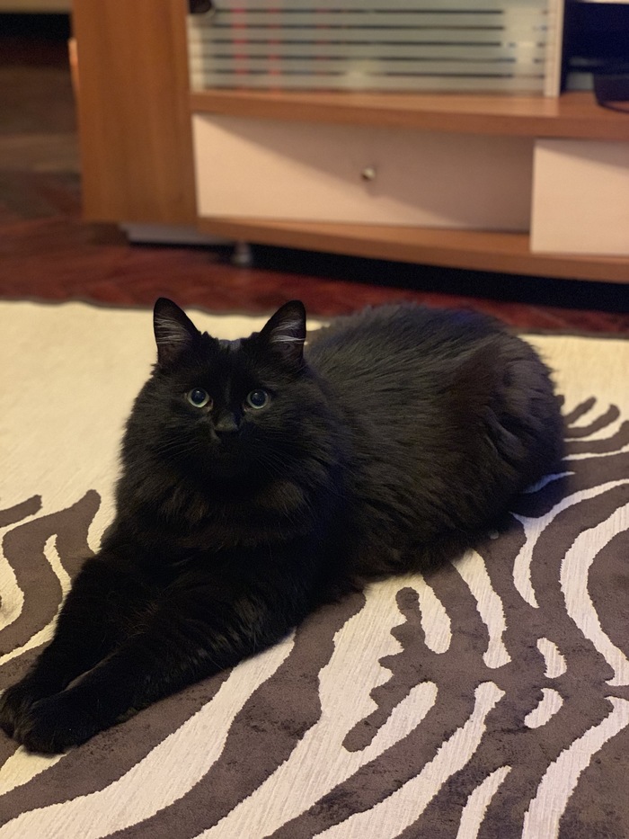 ������, �������