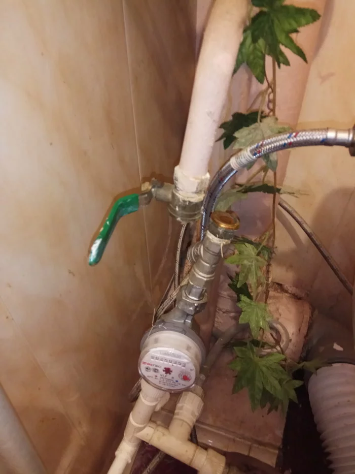 Here you have a phobia) - My, Plumbing, Tap, Longpost