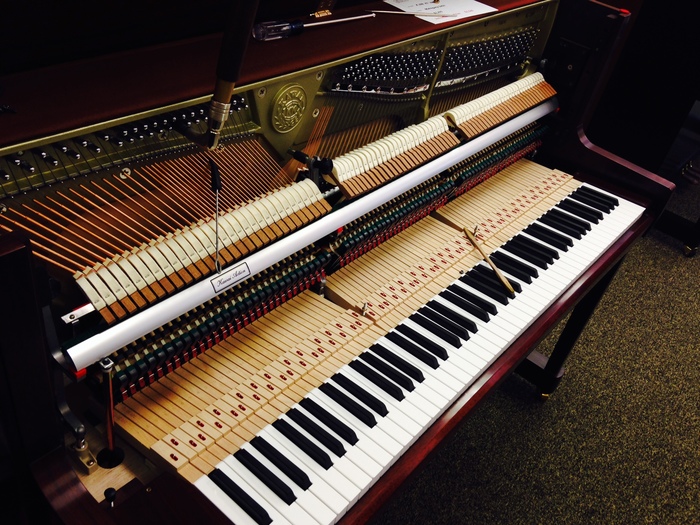 ������ ���, ��� ������ �� ������ ����������