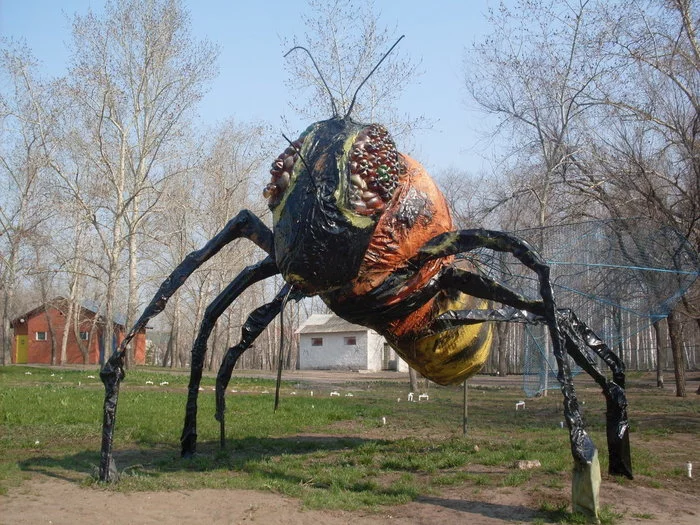 In the exclusion zone of the Chernobyl nuclear power plant, an experiment began to study the effect of radiation on stinging insects - Chernobyl, Wasp, Research