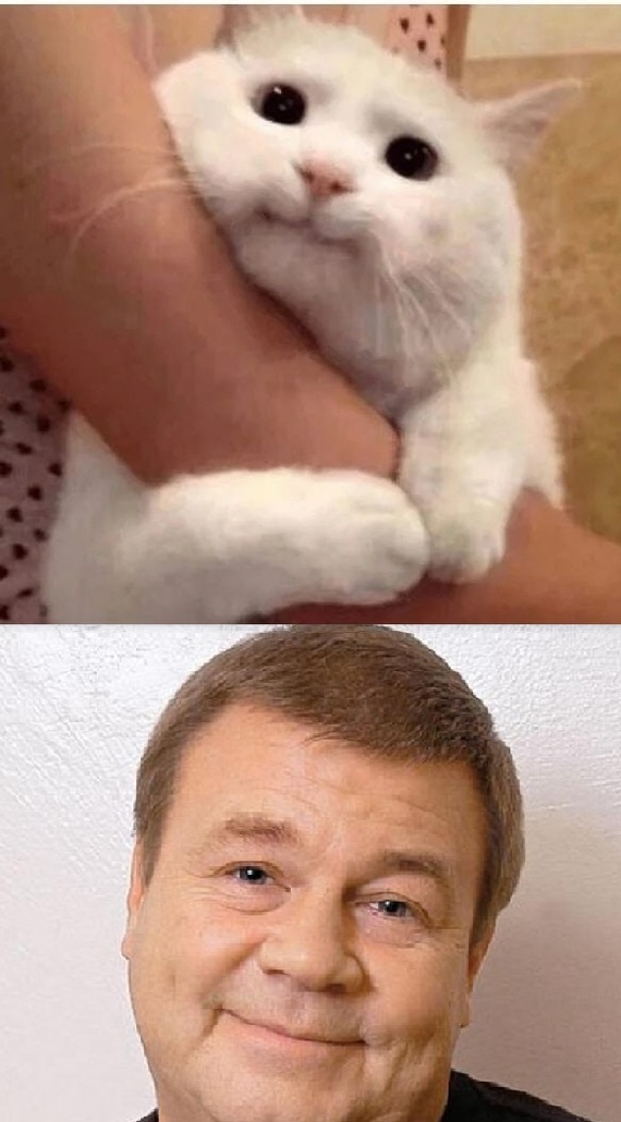 Я нашел идеальный мем