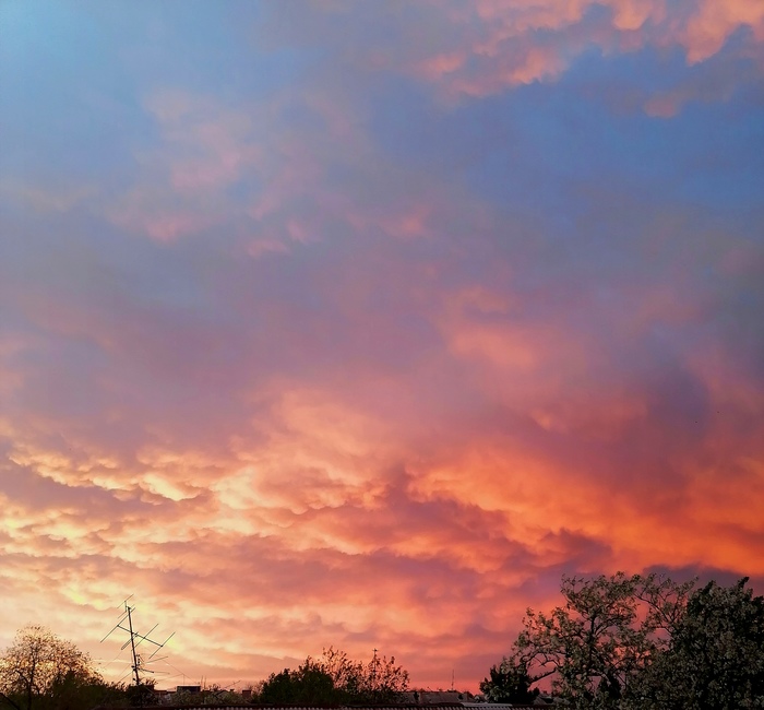 ���� ��� �����������