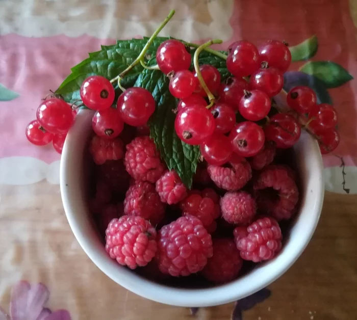 I want summer soon! - My, Summer, Berries, Yummy, Raspberries, Currant