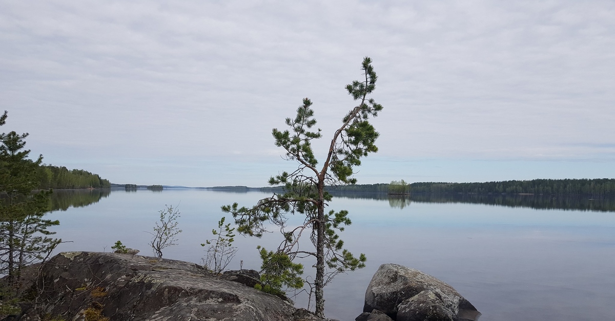 Karelia, Lake Konchezero - My, Карелия, Nature, Concesero, Lake, The photo