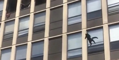 Eight left: in Chicago, a cat jumped out of a fifth-floor window during a fire and calmly walked further into the sunset - Black cat, Fire, Animal Rescue, Video, Longpost