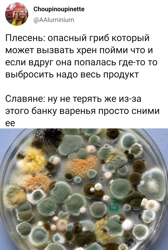 Saving - Mold, Slavs, Picture with text, Food, Jar, Screenshot