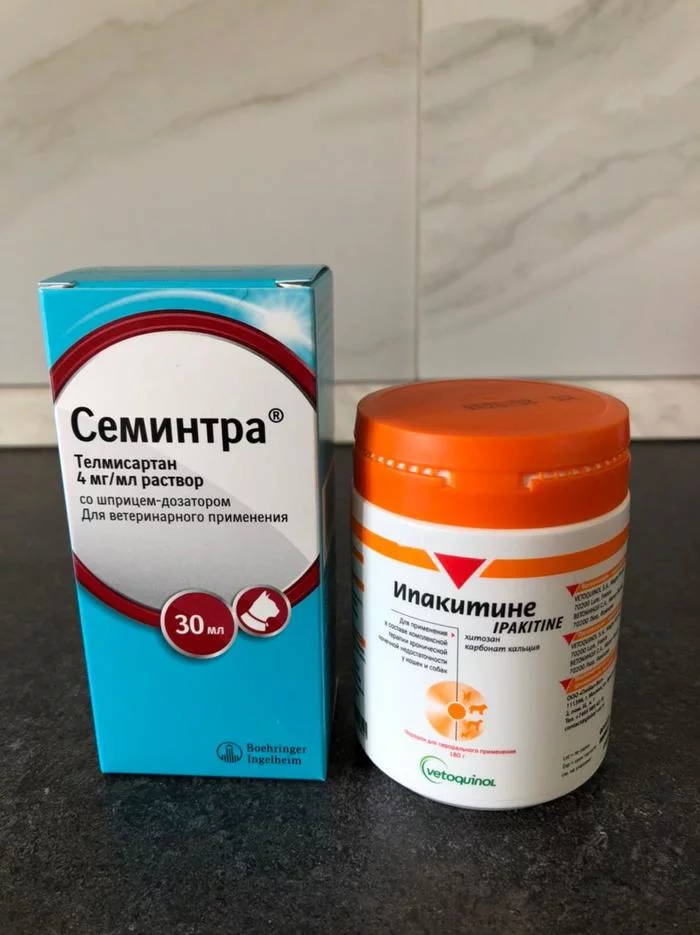 Medications for the kidney cat - I will give the medicine, cat, Moscow, Odintsovo, Kidney