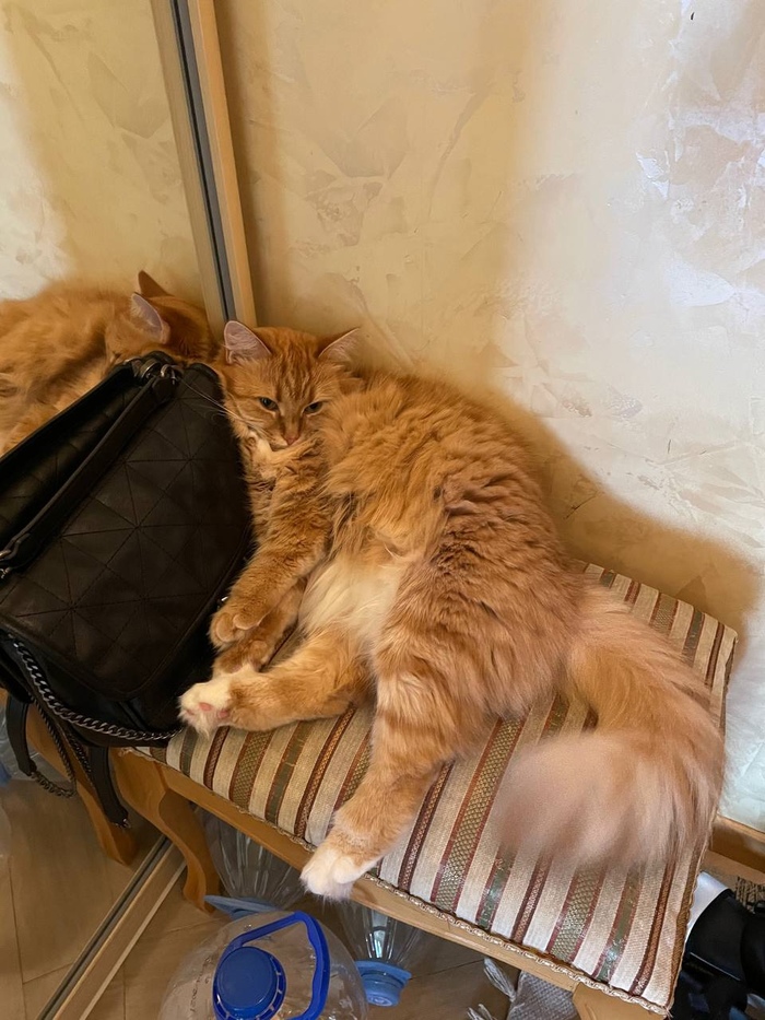 ������ � ��