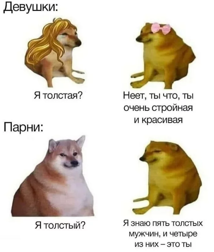 Женская и мужская дружба - Юмор, Собака, Doge, Дружба, Мемы, Картинка с текстом, Повтор