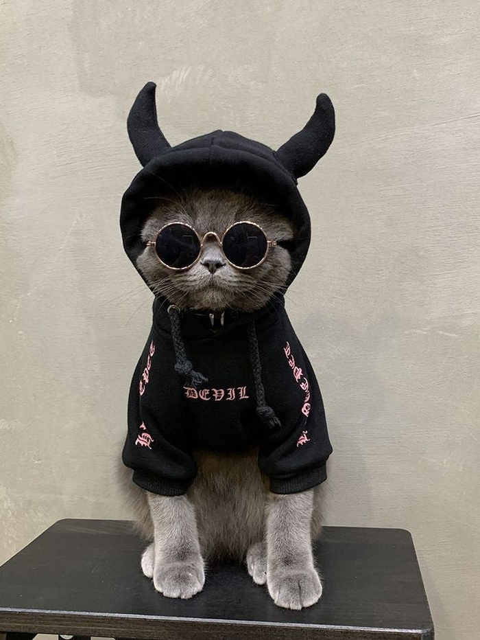 �������� ����