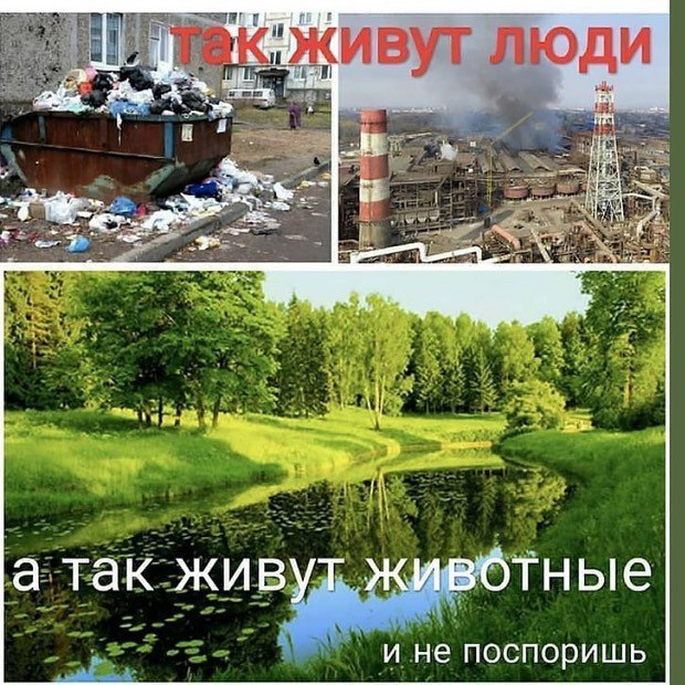 Can not argue with that... - People, Animals, Nature, Civilization, Dirt, Industrialization, Garbage, Protection of Nature