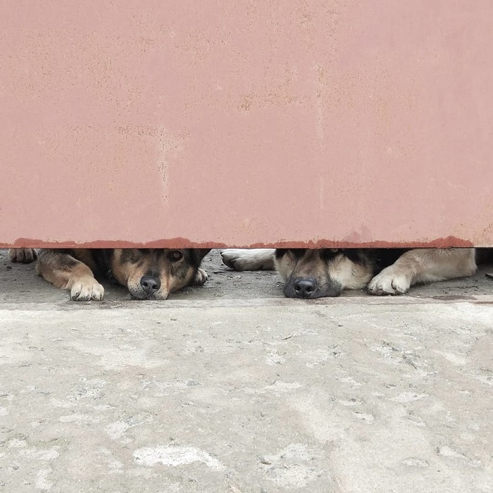  ,  , , 