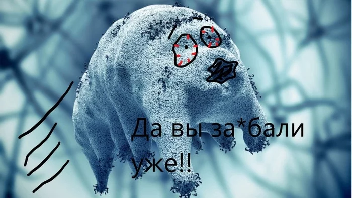 Tardigrade! Pli! - My, Tardigrade, Experiment, Scientists, Humor, Science and technology