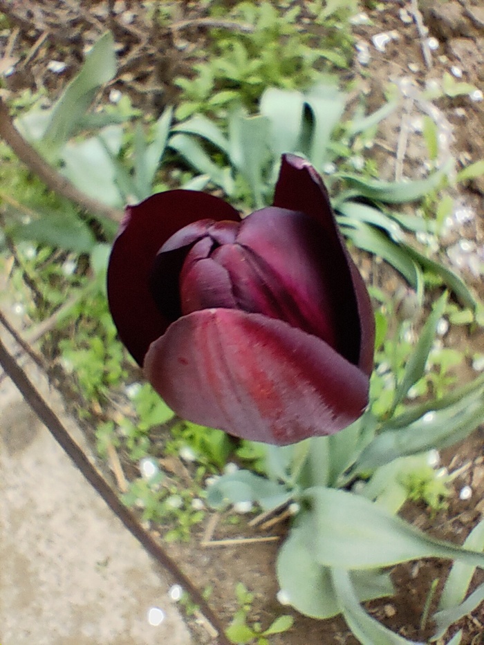 Метания, дачный сезон, мама и удобрения