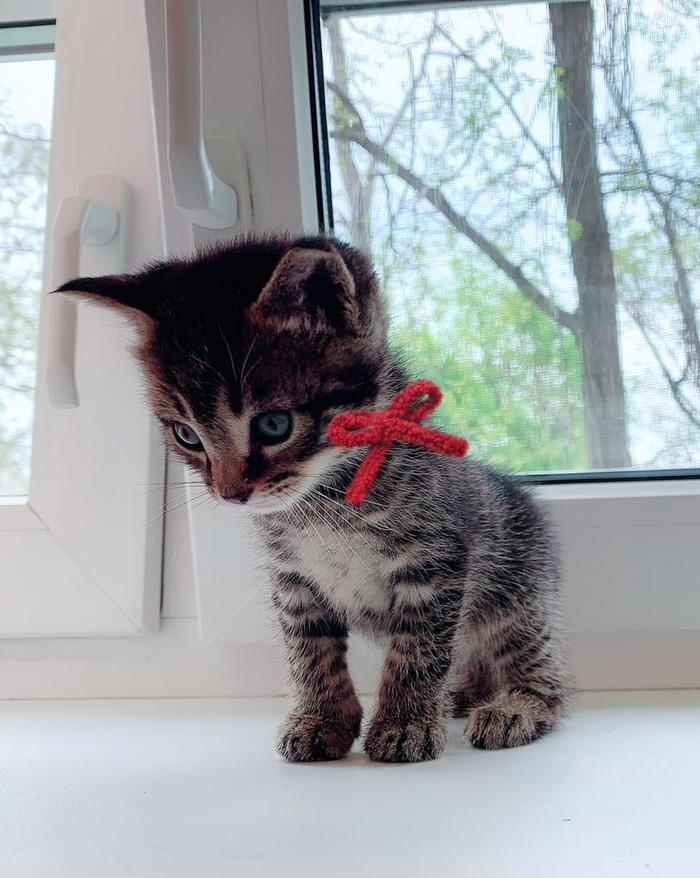 ����� ������ 